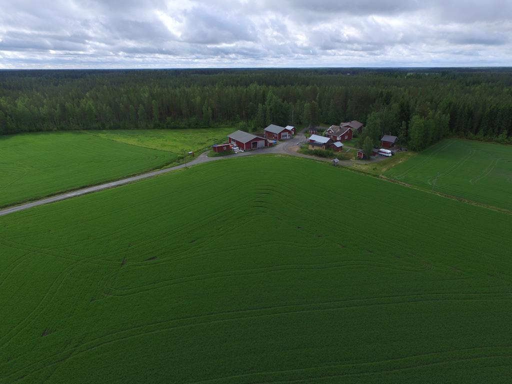 Seinäjoki Maatilamatkailu Ilomaeki מראה חיצוני תמונה