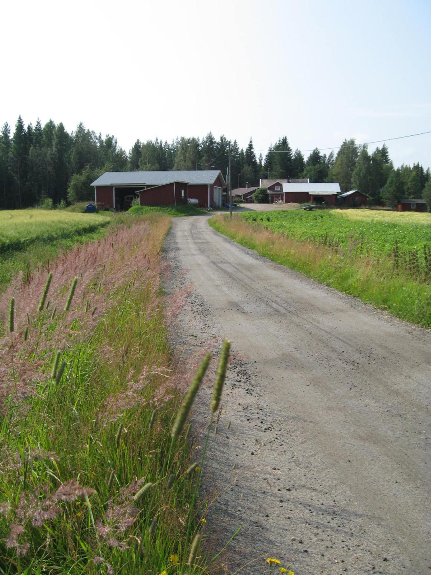 Seinäjoki Maatilamatkailu Ilomaeki מראה חיצוני תמונה
