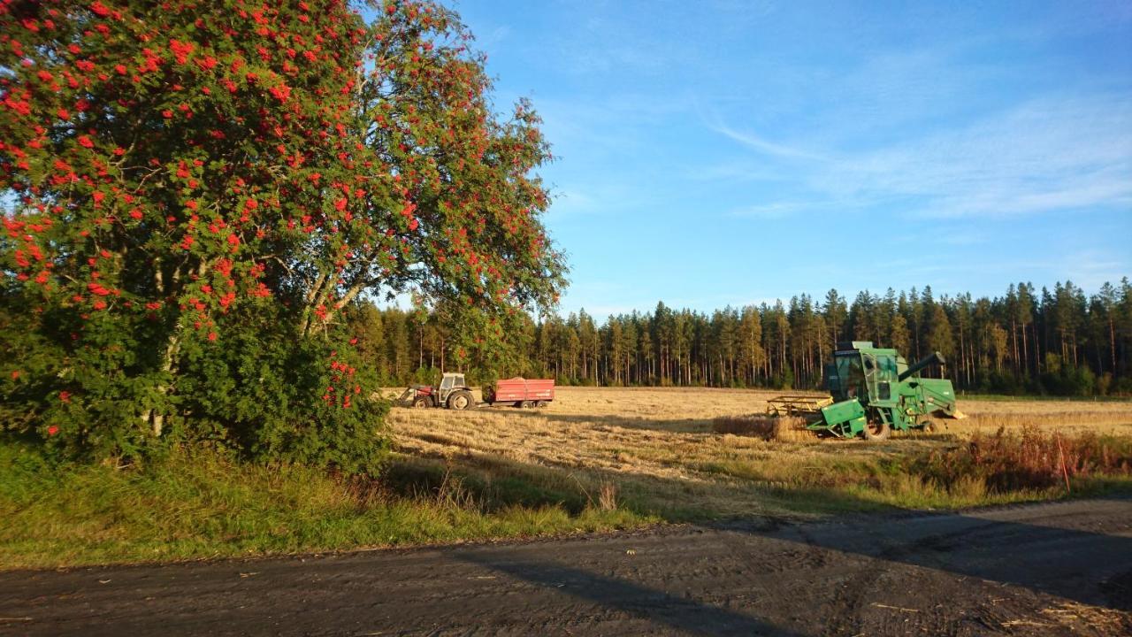 Seinäjoki Maatilamatkailu Ilomaeki מראה חיצוני תמונה